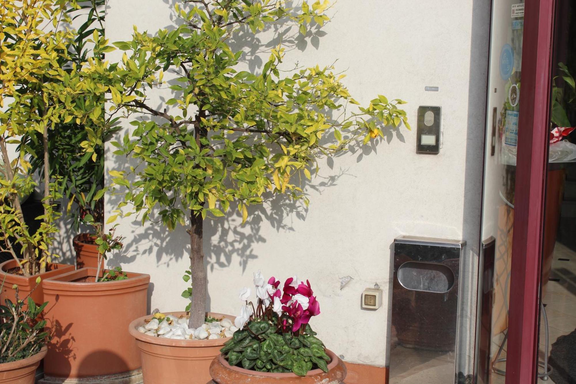 Arcangelo Roof Hotel Rimini Exteriör bild
